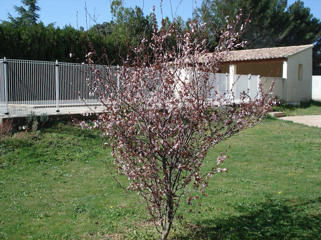 B&B L'Oustalet De Sylvie Villeneuve-les-Avignon Exterior photo